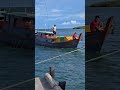 kapan nelayan pool muatan #kapalnelayan #kapalkayu #boating #automobile