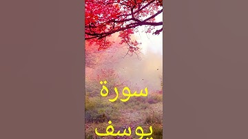 سورة يوسف #صباح_الخير #متابعه #حالات_واتس #تيك_توك #لايك #اكسبلور #ترند #دويتو #واتساب #duet