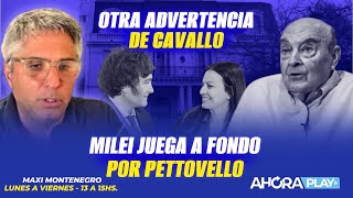 OTRA ADVERTENCIA DE CAVALLO POR DÓLAR. MILEI A FONDO POR PETTOVELLO  | Maxi Montenegro #maximediodía