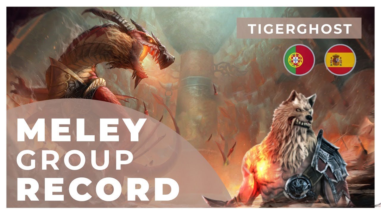 Metin2 Tigerghost Meley group record