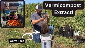 Making Compost Extract for our Garden | Vermicompost