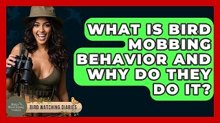 What Is Bird Mobbing Behavior And Why Do They Do It? - Bird Watching Diaries