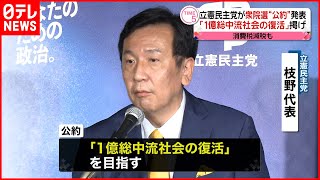 【衆院選】立憲  公約発表「１億総中流社会の復活」