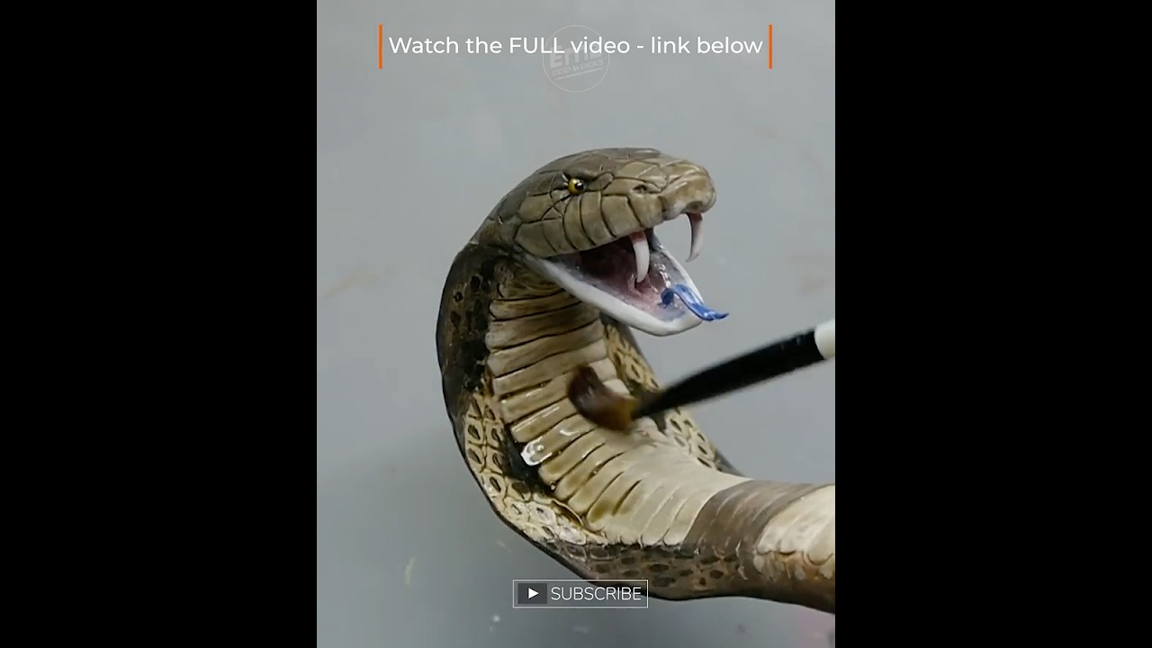 He charmed the WRONG SNAKE! King Cobra #art #sculpture #diorama #reptile #polymerclay #resin