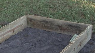 Building a garden bed: What type of wood should you use?