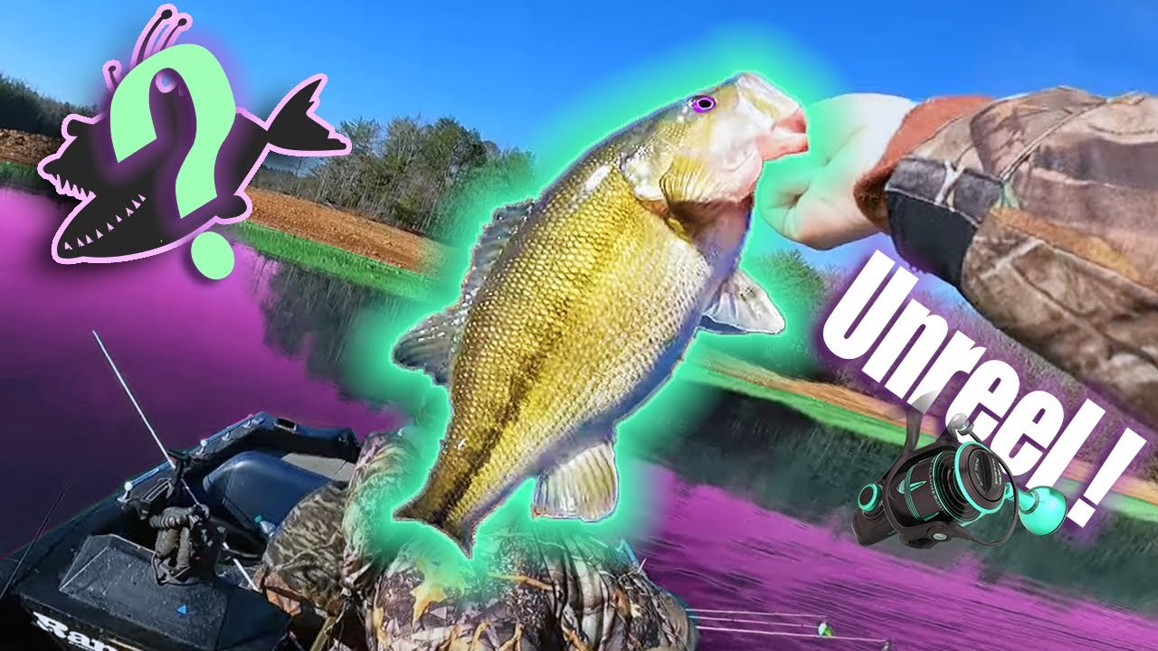 THIS fishing LURE is the BEST anytime, ANYWHERE!