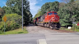 Canadian National U702 heads north through Branchton with a nice P5 horn! (4k UHD)