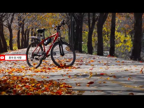 혼자 된 사랑 이선희