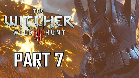 The Witcher 3: Wild Hunt Walkthrough Part 7 - Nilfgaardian Connection (Let