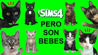 24 horas siendo bebes en los SIMS 4 jugando con gatitos Luna y Estrella / Gameplay en español by Mis gatitos bebés Luna y Estrella 107,408 views 3 months ago 19 minutes