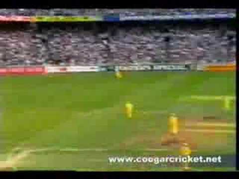 AUSTRALIA vs NEW ZEALAND, 1993/1994 WSC G5