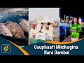 Cuuphaafi Miidhagina Hara Dambal