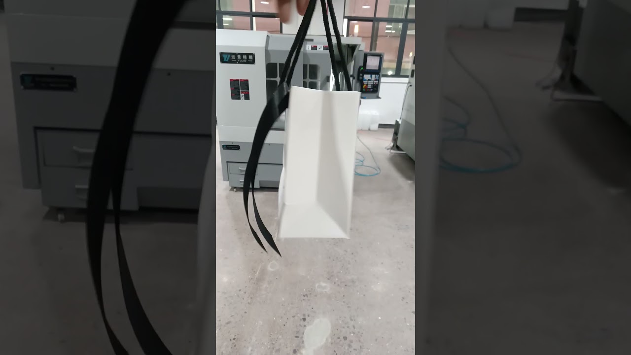 Custom Paper Bags with Logo for Business