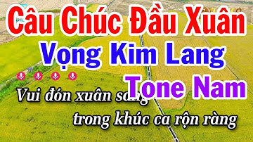 Karaoke Câu Chúc Đầu Xuân 2025 - Vọng Kim Lang Tone Nam