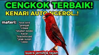 FULl ISIAN MEWAH!! Masteran Kenari Cengkok Terbaik - Durasi Panjang