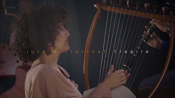 Ancient Lyre & Clarinet - FRAGILE by Sting
