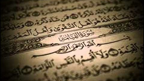 الشيخ ياسر الدوسري 💚 " سورة القيامة "