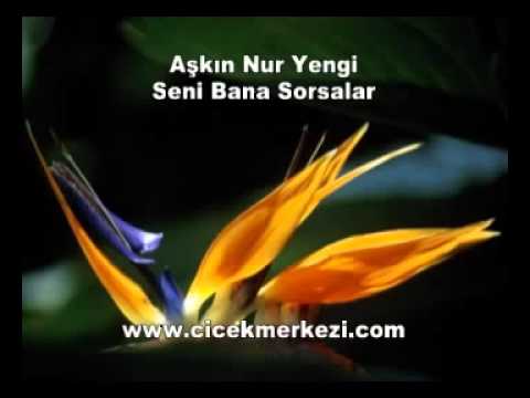 Aşkın Nur Yengi - Seni bana sorsalar Www.Seslikolik.Net Katkılarıyla Sunar...