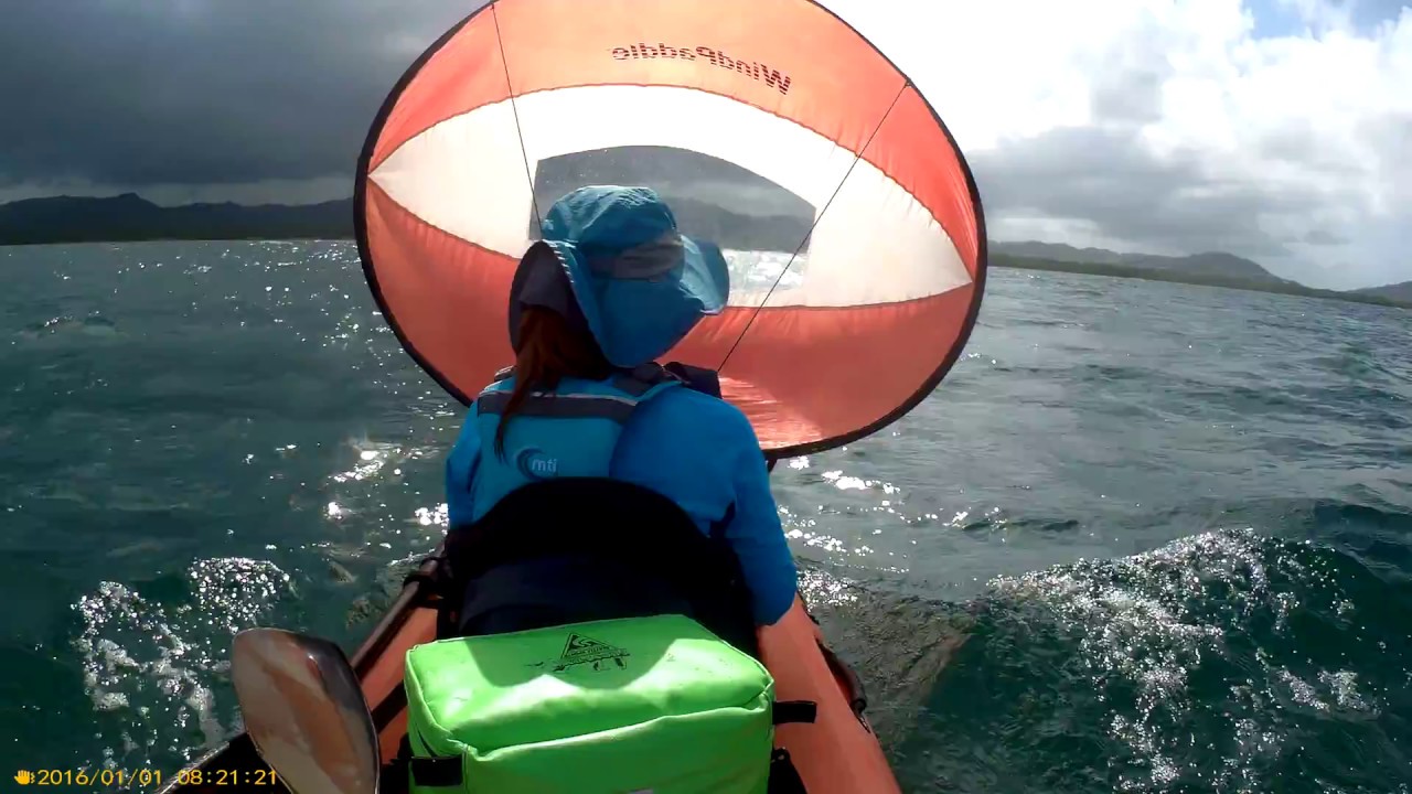 Las Aventuras Kayakeras del Club Aqua Sports Kayaks en Puerto Rico