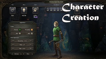 Pillars of Eternity Walkthrough Gameplay Part 1 - Character Creation