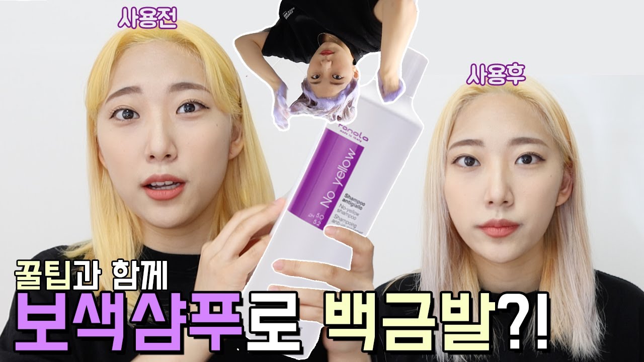 퍼플샴푸 사용법 / 파놀라 노옐로(샴푸염색제) 2차 사용 2