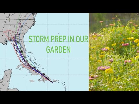 Will THIS DESTROY Our FLOWERS? How to PREPARE for a Major STORM!