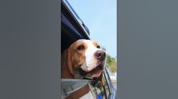 15 AI Smart Cameras for Enhanced Home Security