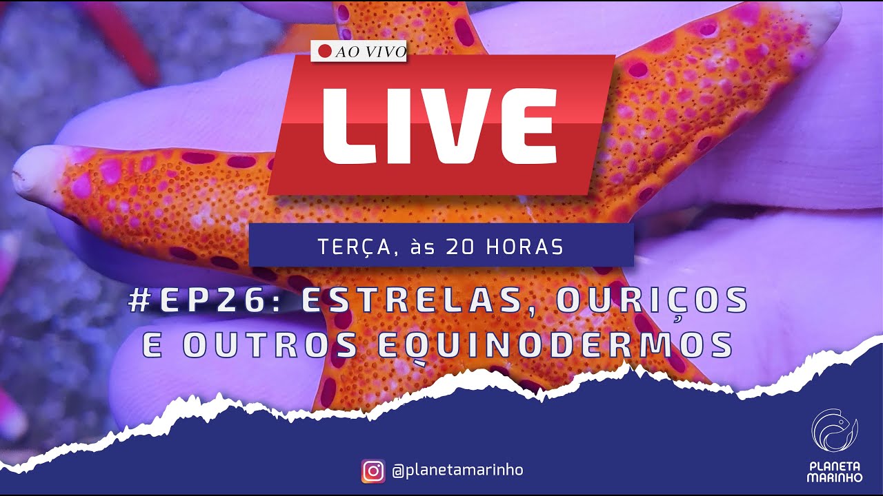 LIVE | #EP26 – ESTRELAS, OURIÇOS E OUTROS EQUINODERMOS