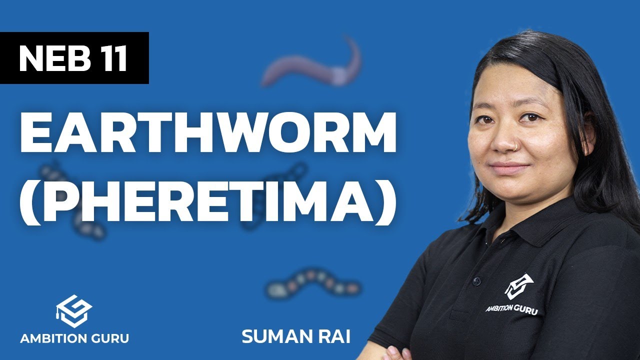Earthworm (Pheretima) | Class 11 | Zoology | NEB | Ambition Guru