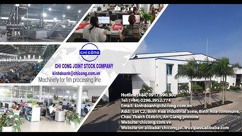 [CHICONG] Máy chế biến cá, thiết bị chế biến cá fillet, chế biến thủy sản, máy chế biến công nghiệp