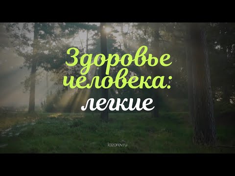 Здоровье человека: лёгкие