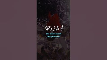احترم القران الكريم
