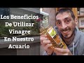  los beneficios del vinagre en nuestro acuario acuarios mb