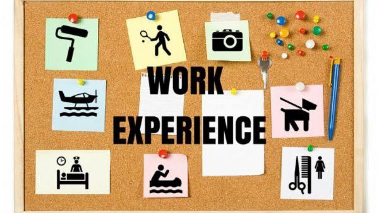 Working experience or work experience