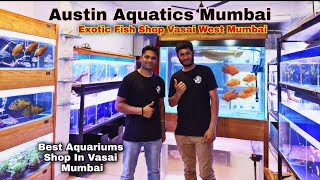 Austin Aquatics Aquarium shop Visit _ Exotic Fish with prices Vasai MUMBAI