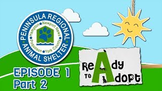 The Newport News Peninsula Regional Animal Shelter Ready to Adopt Episode 1 - Part 2