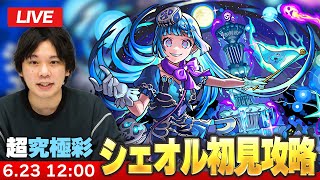しろの配信のサムネイル画像