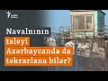 Siyasi məhbuslara təhlükə: Navalnının taleyi Azərbaycanda da təkrarlana bilər?