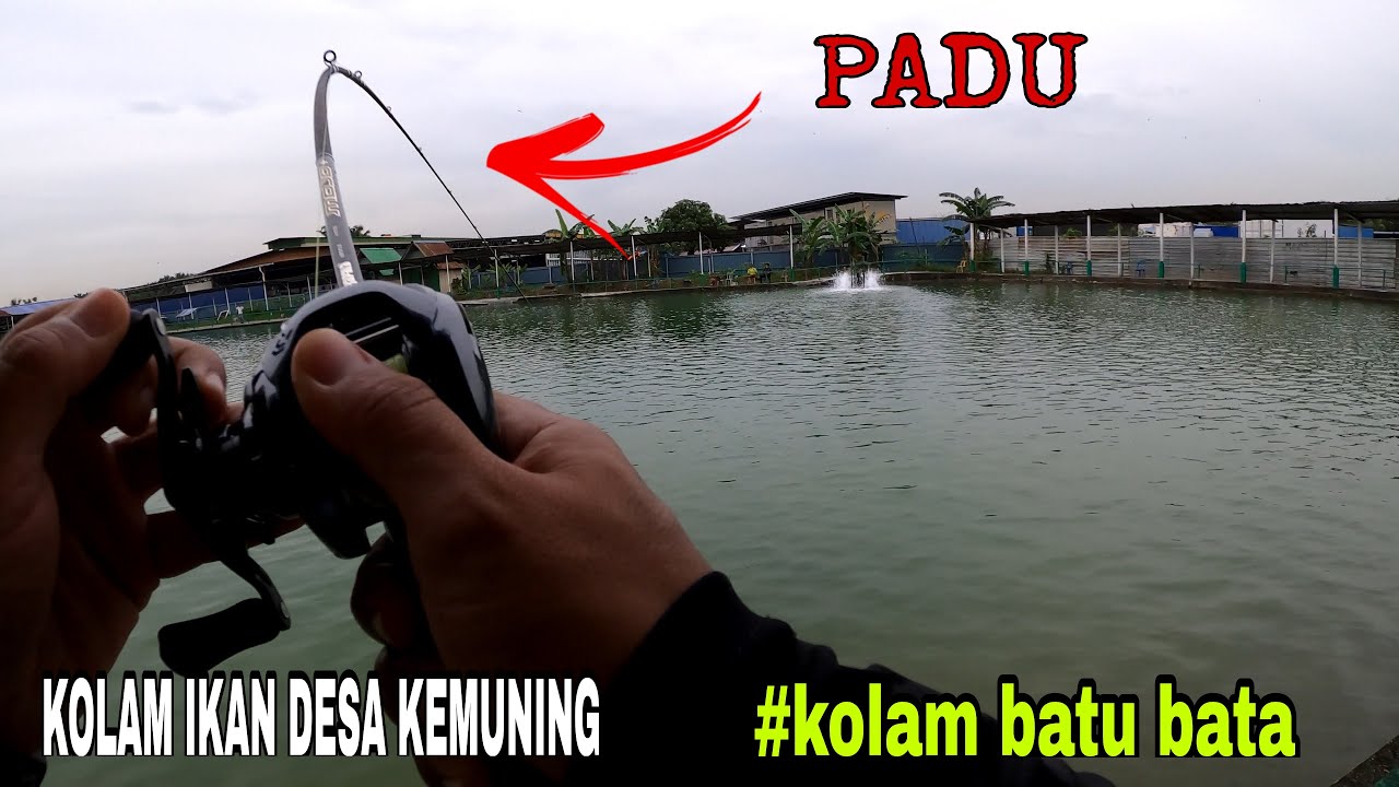  KOLAM BATU BATA  KOLAM  IKAN DESA KEMUNING YouTube