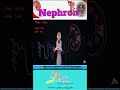 What are Nephrons I Function of Nephron I Biology