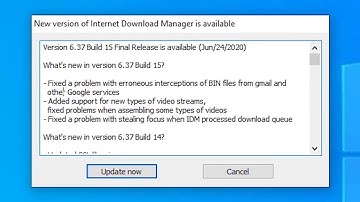 How to Disable Automatic Update Check of IDM