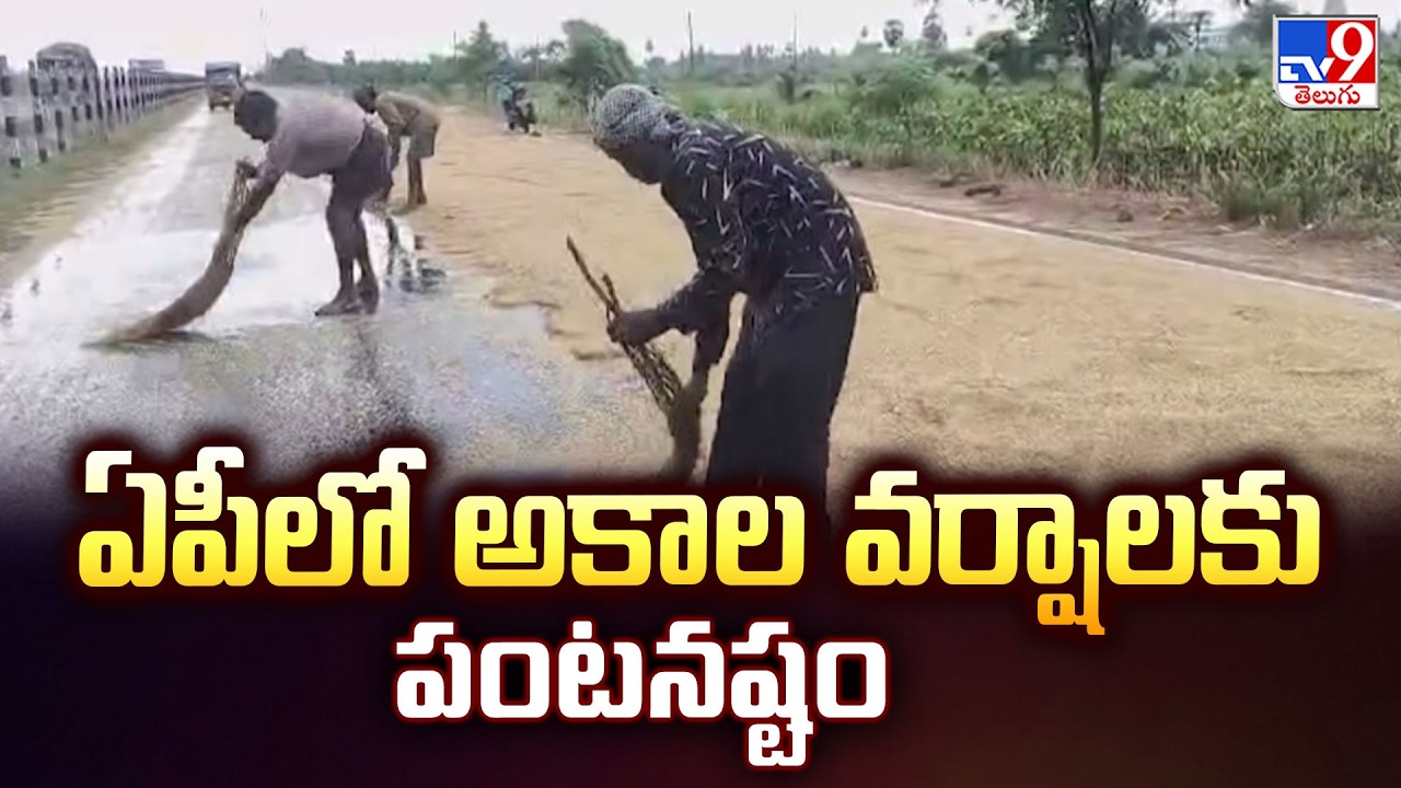 Heavy Crop Damage Due to Unseasonal Rains in Andhra Pradesh : ఏపీలో ...