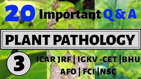 ICAR JRF PLANT PATHOLOGY QUESTIONS | PART-3 | AGRICARE AS | JRF ,IBPS AFO, IGKV CET, BHU PET |