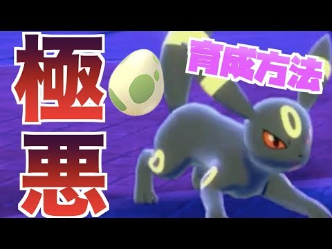 ポケモン剣盾 ブラッキー育成論 ランクマ用極悪な作り方 努力値振り技構成育成論入手方法 ポケモンソードシールド 夢特性イーブイ Youtube