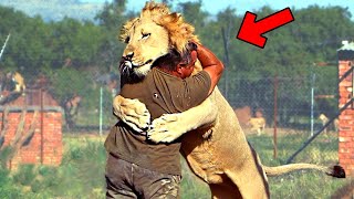 30 Animals That See Their Owners Again After Years! Most Emotional Moments 2023