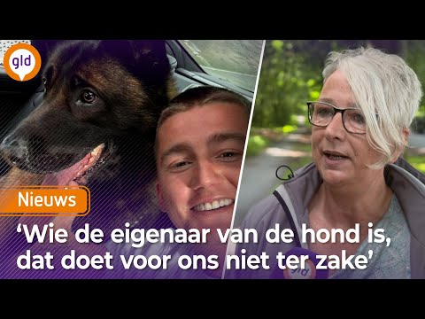Zo werd de HOND Ciro van MART HOOGKAMER gevonden