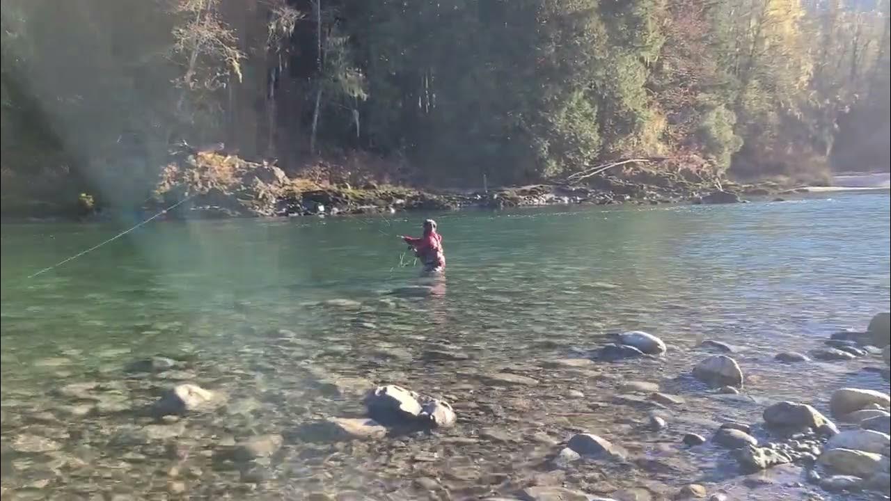 Spey fishing epic cast sauk river washington 2023 opst line by