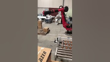 Customized robot hand carton box automatic palletizing machine palletizer robot hand