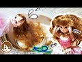 リカちゃんをお湯パーマをしてヘアアレンジしてみた！キャラメル