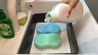 sponge + Laundrysoap